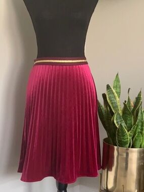 Anthropologie Fuchsia Velvet Pleated Skater Skirt with Gold-Trim Waistband